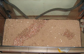 base areão e fertilizante