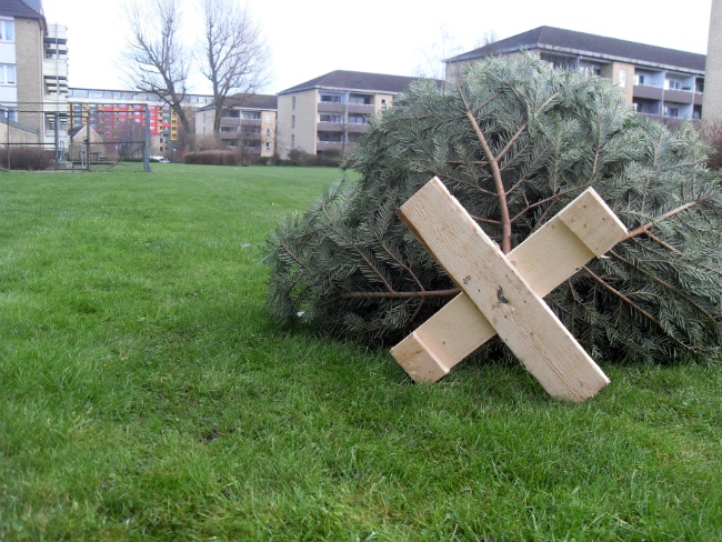 tree6