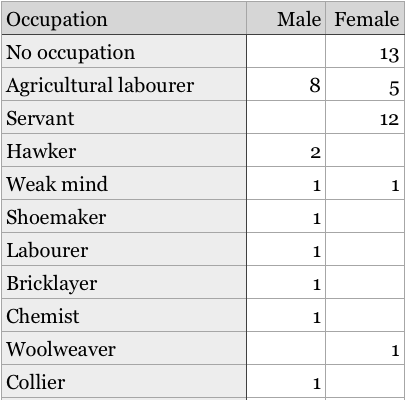 St Ives Union Workhouse 1861 census - Occupations