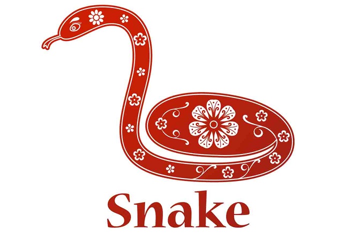 Snake Chinese Horoscope 2023