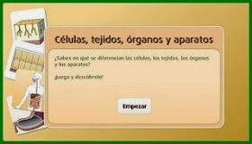 http://www.primaria.librosvivos.net/archivosCMS/3/3/16/usuarios/103294/9/5EP_Cono_ud1_184/frame_prim.swf