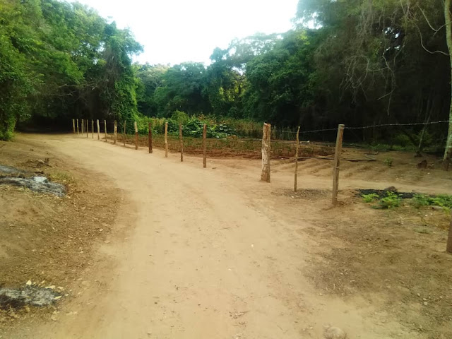 TALA DESMEDIDA EN SICARIGUA PONE EN RIESGO AL RÍO DE LA ZONA