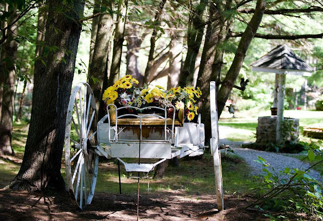 A large wooden wagon painted white and planted with pretty yellow pansies, Marigold Springs Orillia