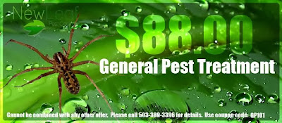 Pest Control Coupons in Portland OR