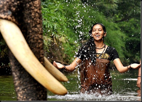 Kumki_Movie_Stillsce15866d5b69d63832a504407fb10679