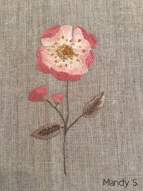 Cecelia Rose Stitch Along: your results!