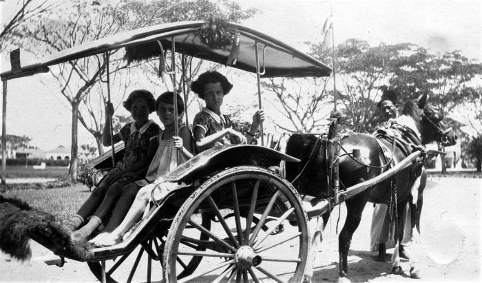 Enem Kabeh 6 Asal Nama Kereta Kuda Khas di Indonesia