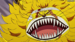 ワンピース アニメ 1070話 ネコマムシ | ONE PIECE Episode 1070