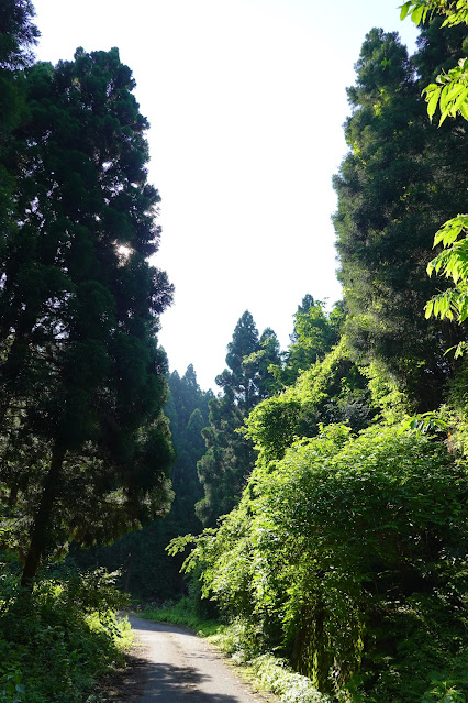 鳥取県西伯郡南部町東上 鎌倉山グリーンライン