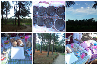 picnic, piquenique, cupcake, jardim botânico, Brasília