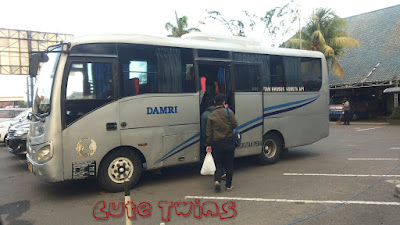 traveling bali kereta bus damri