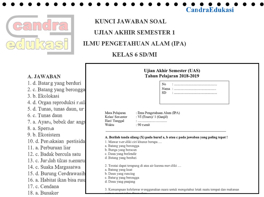  Soal UAS IPA Kelas 6 Semester 1 Dan Kunci Jawaban 