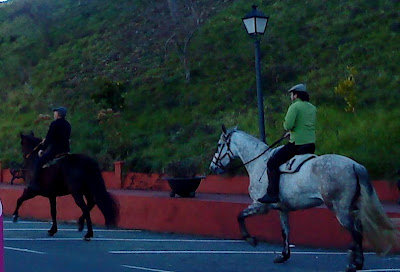 by E.V.Pita....Horses in Betanzos countryside region / por E.V.Pita... Caballos en la comarca de Betanzos / por E.V.Pita... Cabalos nas terras de Betanzos