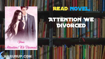 Read Attention We Divorced Novel Full Episode
