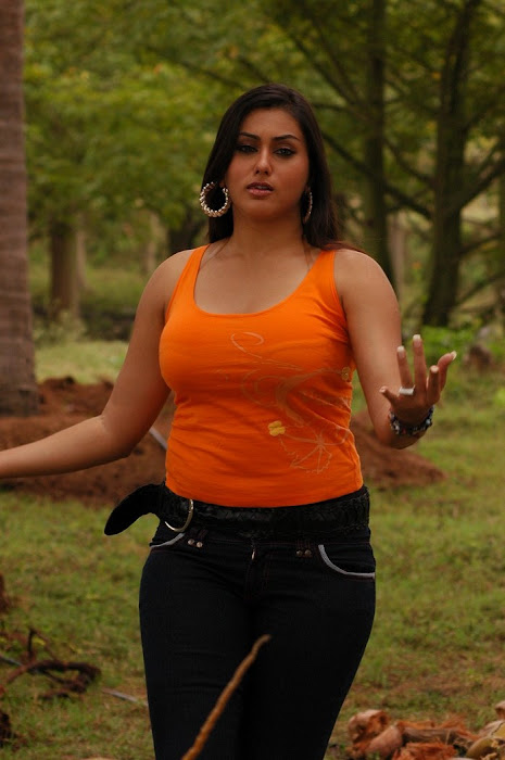 namitha new spicy from pachi mirapakai namitha actress pics