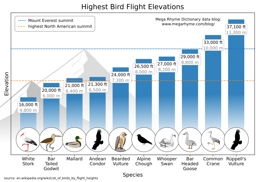 Maximum Bird Flight Elevation By Species