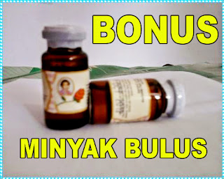 minyak bulus