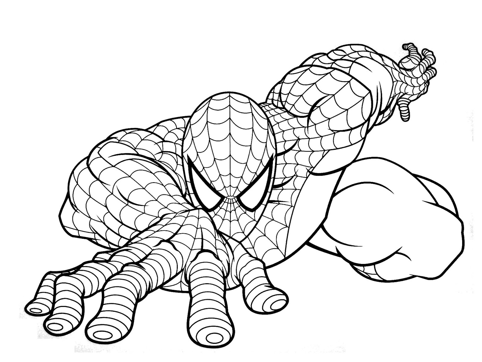 10 Mewarnai Gambar Spiderman