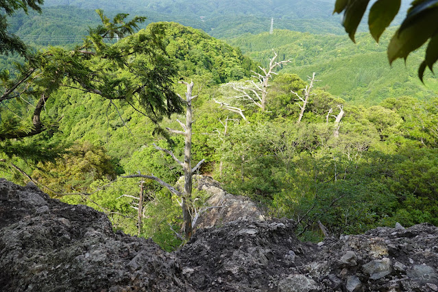 鳥取県西伯郡南部町八金 金華山登山道からの眺望