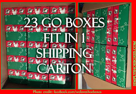 23 Operation Christmas Child GO shoeboxes fit in a carton
