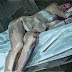 Женское тело, как лоскутное одеяло. Alberto Mielgo