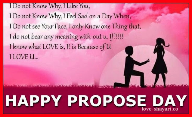 propose day quotes for boyfrien