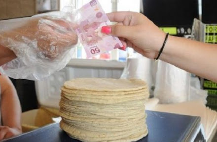 Precio de tortilla alcanza máximo histórico; se vende hasta en $27 por kilo: Profeco