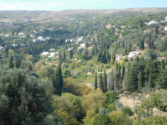 Μένητες Άνδρος