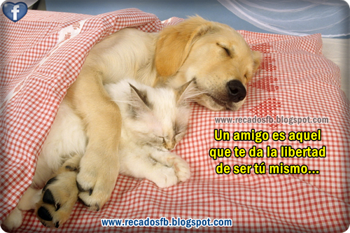 imagenes facebook amistad - Imagenes De Amor Y Amistad Para Compartir Facebook