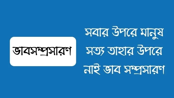 সবার উপরে মানুষ সত্য তাহার উপরে নাই ভাব সম্প্রসারণ