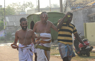 Thirunindravur,  Sri Bhakthavatsala Perumal, Brahmotsavam,Aadisesha vahanam  2017, Video, Divya Prabhandam,Utsavam,