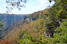 Hugging the rim of the New River Gorge for about 2 miles, the Endless Wall Trail provides hikers with breathtaking vistas by way of its many rocky overlooks and steep cliffs.