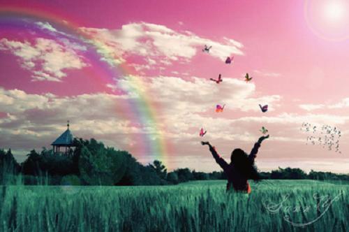 Rainbows And Butterflies. Rainbows amp; Butterflies