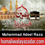 http://www.humaliwalayazadar.com/2016/06/muhammad-adeel-raza-nohay-2014-to-2017_5.html