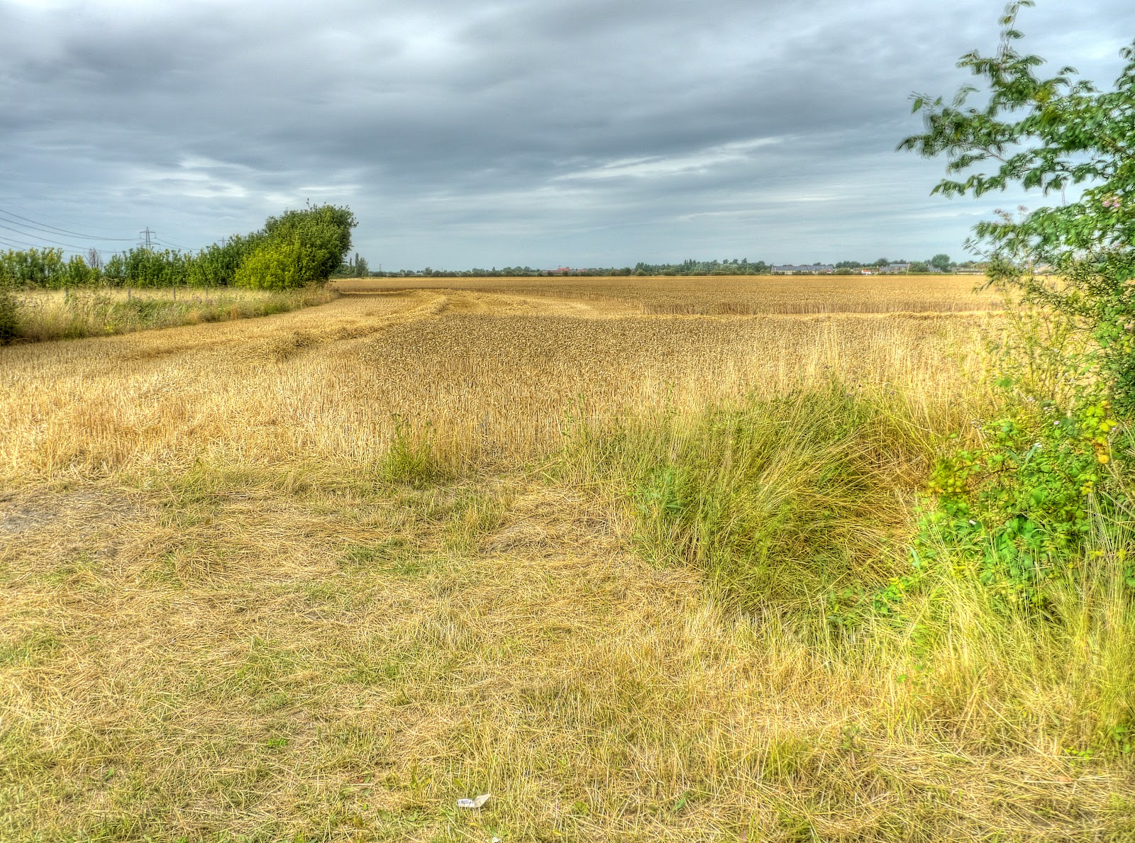 P1150621_15_16_17_18_19_20_tonemapped.jpg