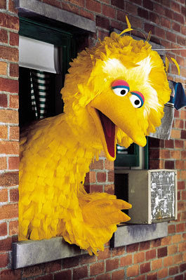 Big Bird