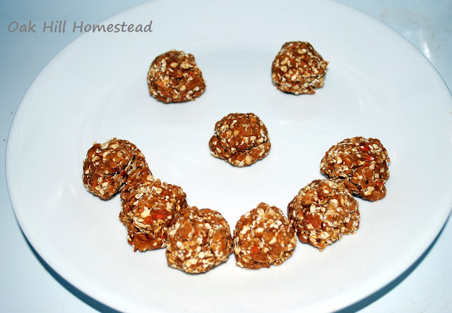 A plate of molasses horse treats, arranged in a smiley face.