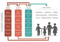 The Lancet Commission on Health and Climate (Image Credit: thelancet.com) Change Click to Enlarge.