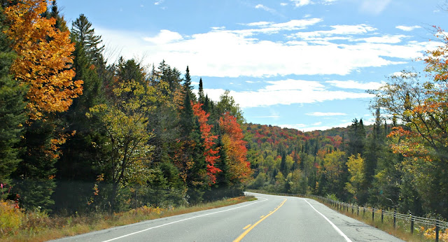 Fall foliage in the mountains - www.goldenboysandme.com