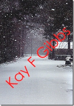 snow 4