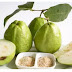 Benefits and uses of Guava Leaf