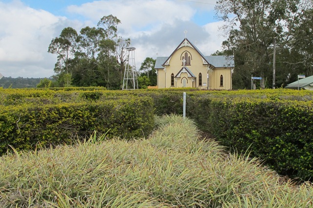 2011.08.29 at 09h15m07s Yungaburra - 11-08 Queensland