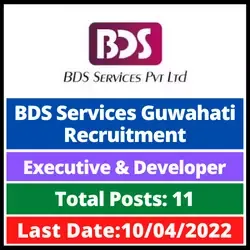 Apply for BDS Services Guwahati Recruitment for 11 Executive & Developer Vacancy