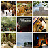 2013's Top 10 travel stories