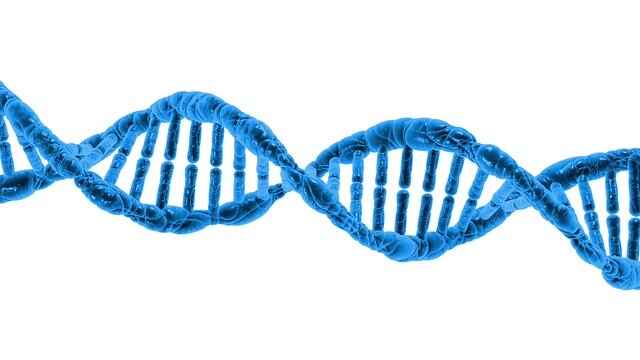 DNA Full Form in Hindi