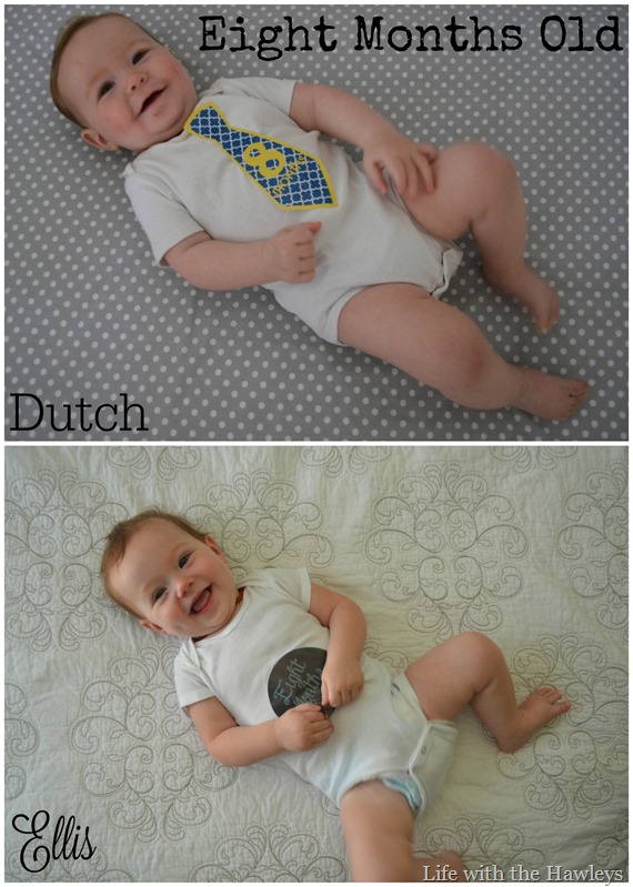 Eight Months Old Collage