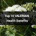 10 Best Valerian Health Benefits - Sleep, Insomnia, Sciatica..