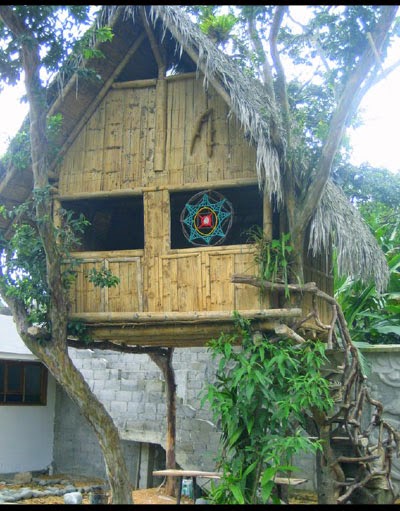 Cara Membuat Rumah  Sederhana Dari  Bambu  Yang Murah 