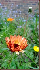 WP_20130518_013