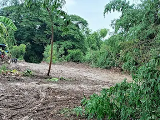ที่ดินริมน้ำ อยุธยา 2 ไร่ มุมมองที่ 2 แสดงแม่น้ำลพบุรี